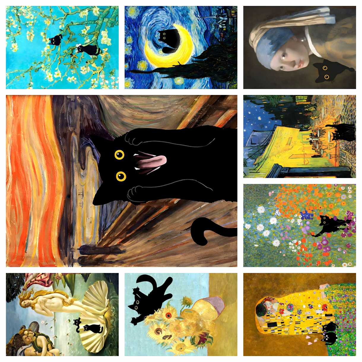 Embroidery Cat - 5D Diamond Painting Funny Cute Black