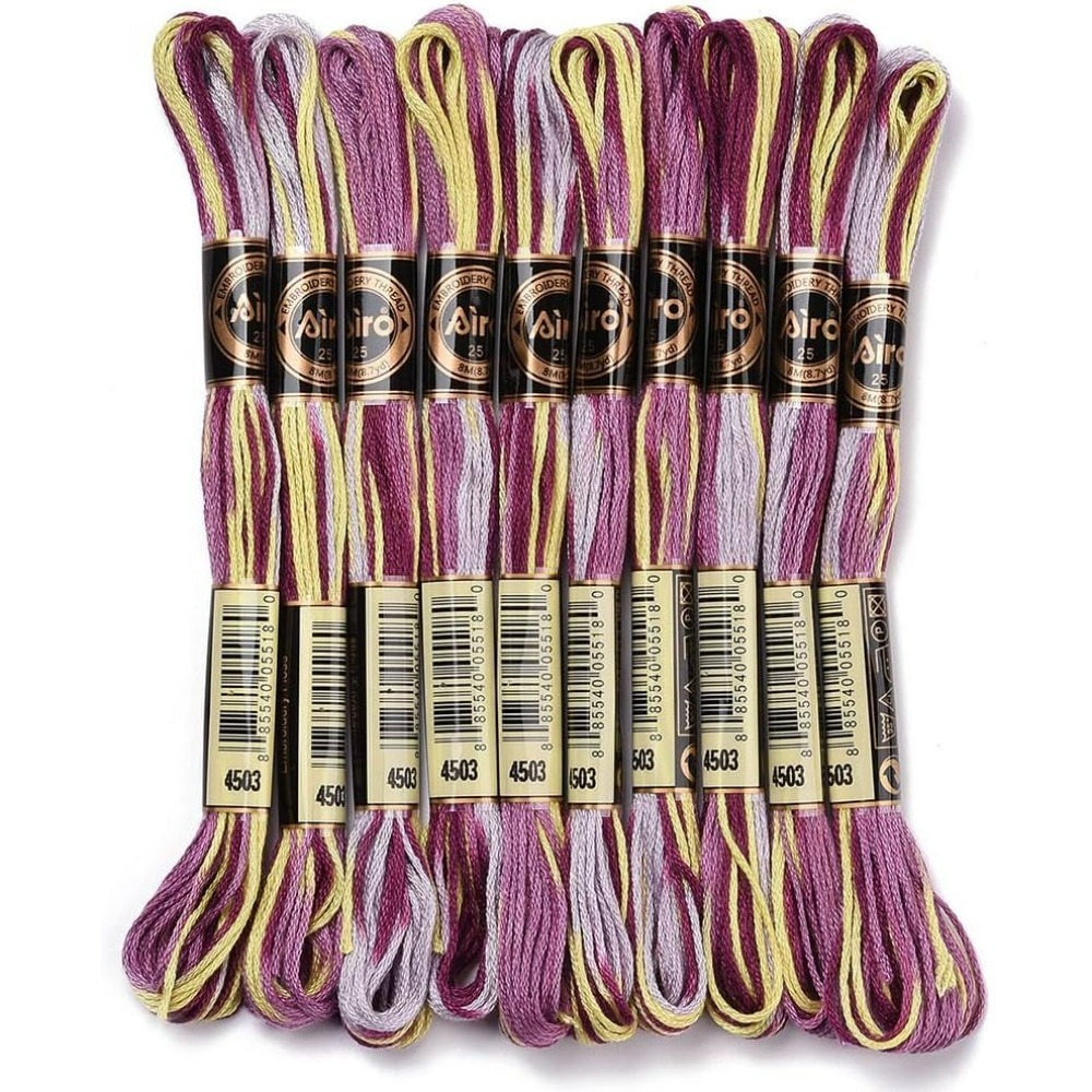 6 Strands Purple Variegated Em - Embroidery Thread recensione e prezzo