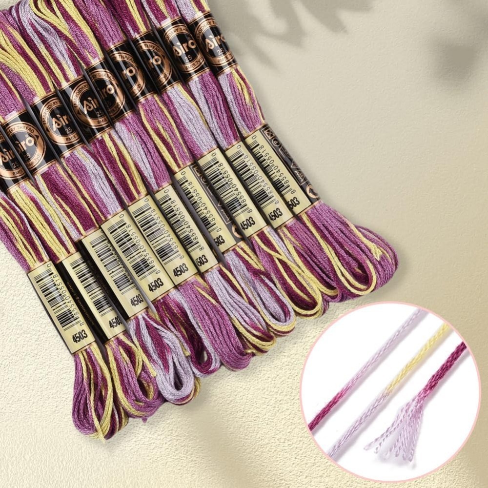 6 Strands Purple Variegated Em - Embroidery Thread recensione e prezzo