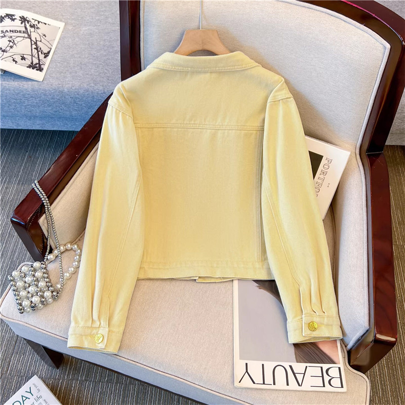 Korean Vintage Flower Embroide - Embroidery Jacket Jeans recensione e prezzo