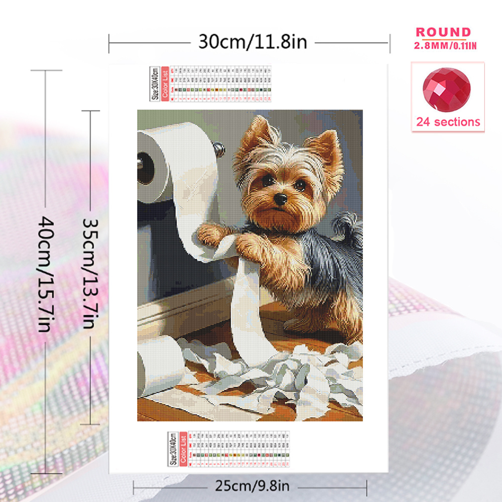 1pc frameless  Diamond Art Pai - Embroidery Wall Art recensione e prezzo